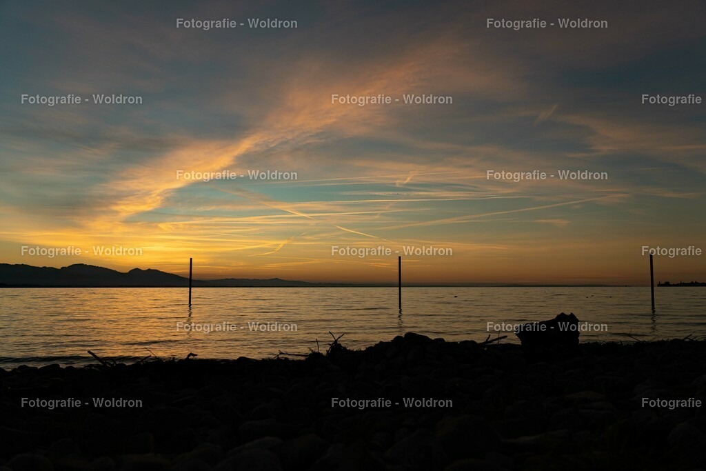 20221109 Bregenz Bodensee-11 | Fotografie Woldron