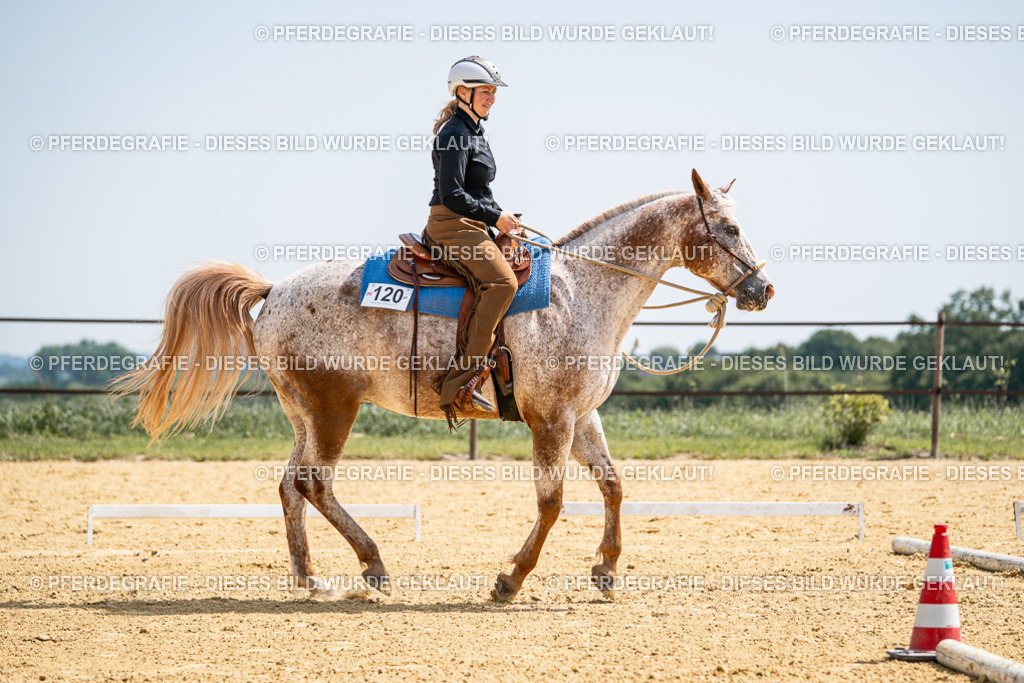 DSC00572 | Pferdegrafie