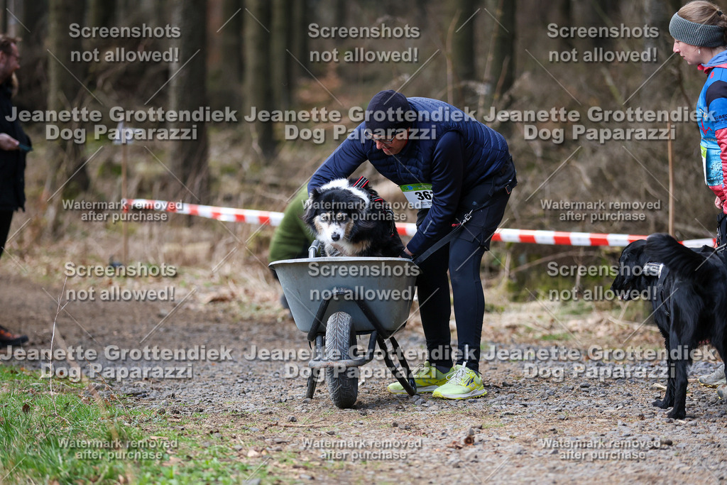 Dog Paparazzi - VCC26-807 | Dog Paparazzi Jeanette Grottendiek Fotografie & Videografie - Realisiert mit Pictrs.com