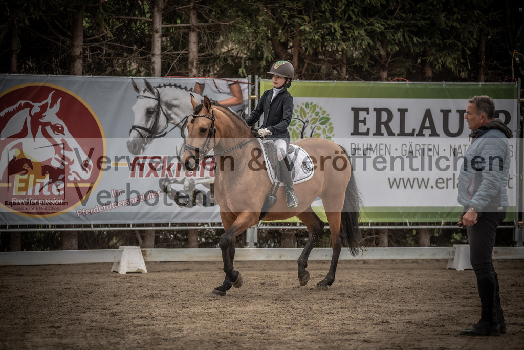 DSC_8306 | equestrian-live-com