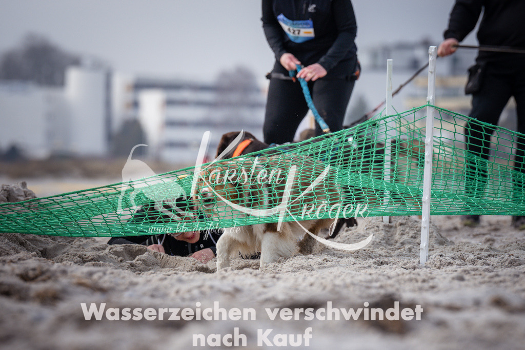 1132_ZZ99247 | kk-dogfotos