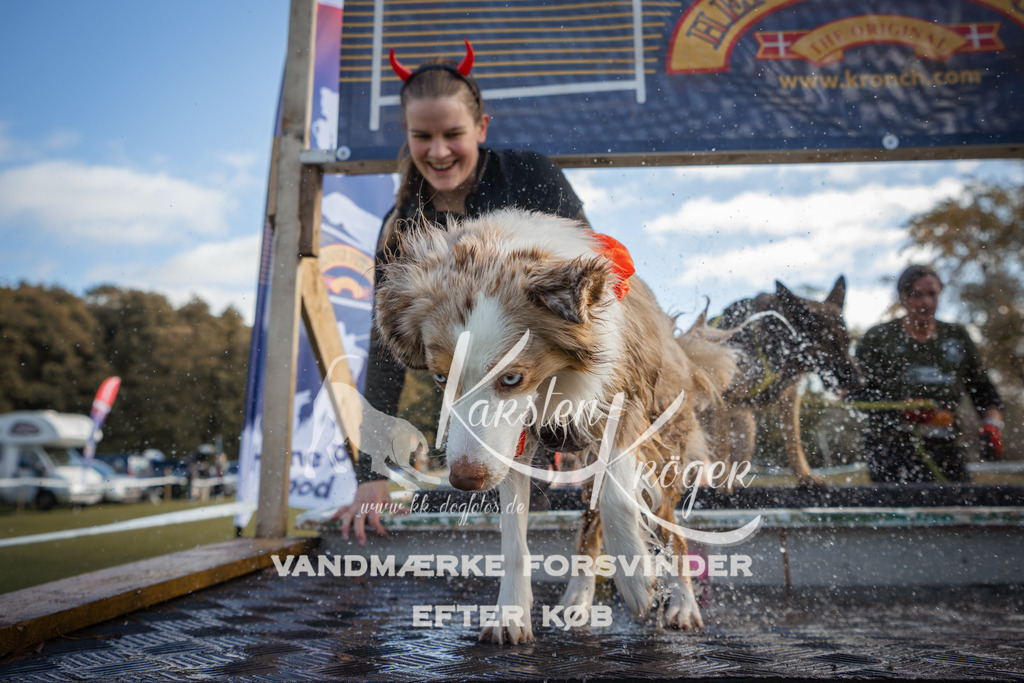 1308_ZZ99380-2 | kk-dogfotos