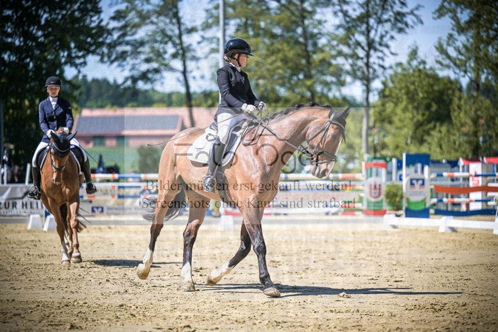 DOS_8391 | Entdecke hochwertige Reitturnierfotos von Foto Oger. Professionell, emotional und authentisch – jetzt Lieblingsmomente im Shop bestellen.Deutschlandweite Turnierfotografie. - Realisiert mit Pictrs.com
