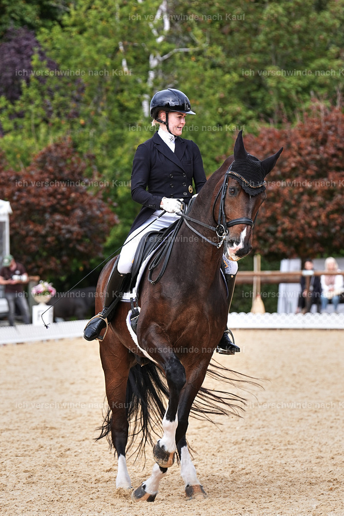 11-091-Dressur S___-Marixx-1631 | working equitationturnier fotograf videograf stoibphotography marixx film working equitation deutschland reitsport turnierfotografie eventfotografie equestrian events