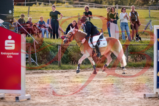 2026_10_03_Siefer-Hof_145525_Z81_36415718 | Professionelle Reitsport-, Turnier- und Eventfotografie von Robert Broda. Galerien mit ausgewählten und bearbeiteten Bildern direkt online ansehen und bestellen.