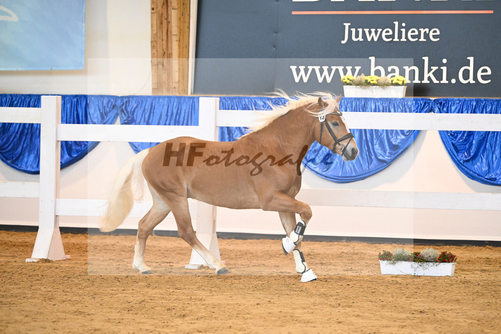 Kat-Nr. 13 nn v. Alfred_Hoegner_60220174 | hf-fotografie - Realisiert mit Pictrs.com