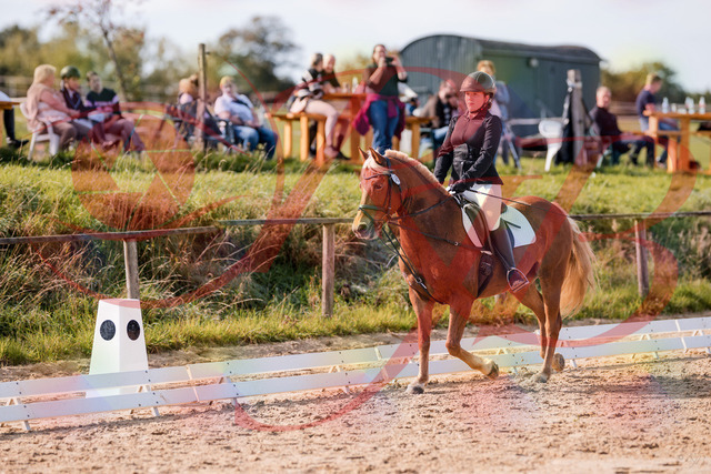 2026_10_03_Siefer-Hof_122309_Z81_23084449 | Professionelle Reitsport-, Turnier- und Eventfotografie von Robert Broda. Galerien mit ausgewählten und bearbeiteten Bildern direkt online ansehen und bestellen.