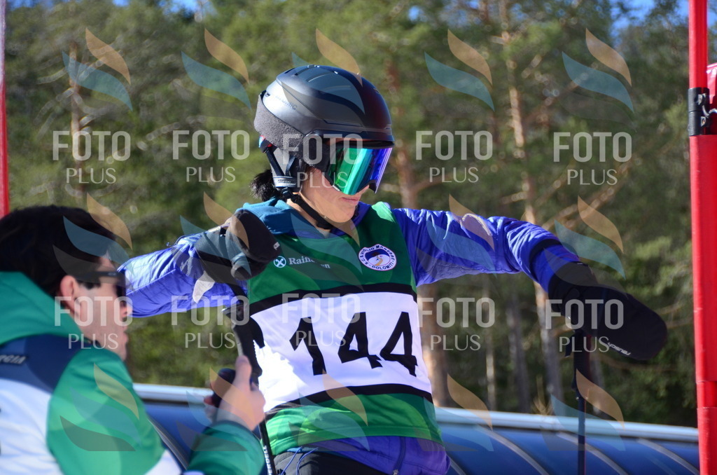 C6064 | holidayphoto