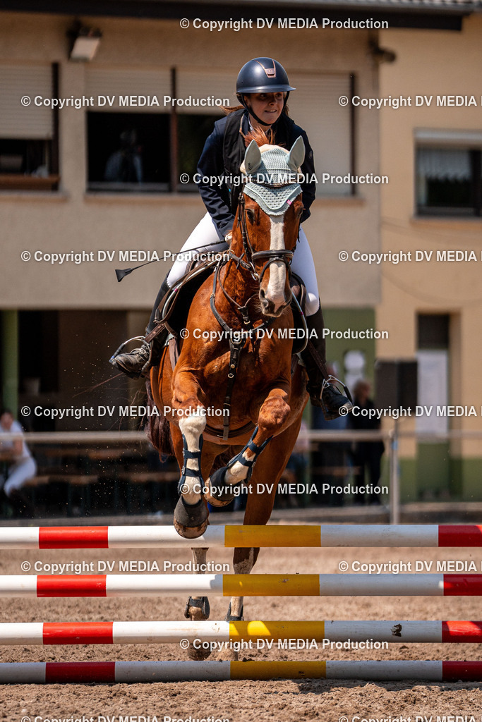 Eppelheim Tag 3-392 | dv-media-shop - Realisiert mit Pictrs.com