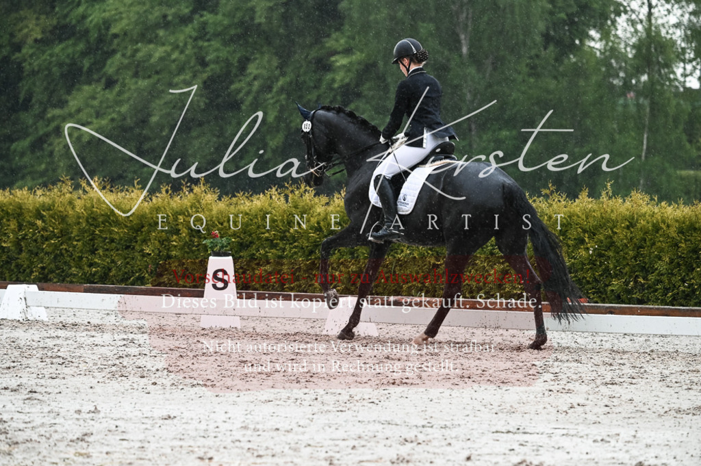DSC_4745 | Pferde- und Turnierfotografie in Westsachsen. Pferdeportraits, Auftragszeichnungen und intuitive Kunst.