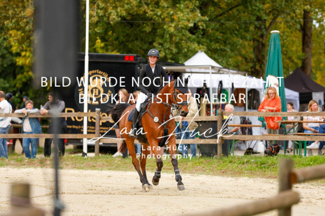 _62_9020 | larahueckfotografie