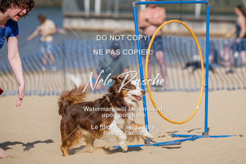 nelerasche_saBeachility_305 | nelerasche