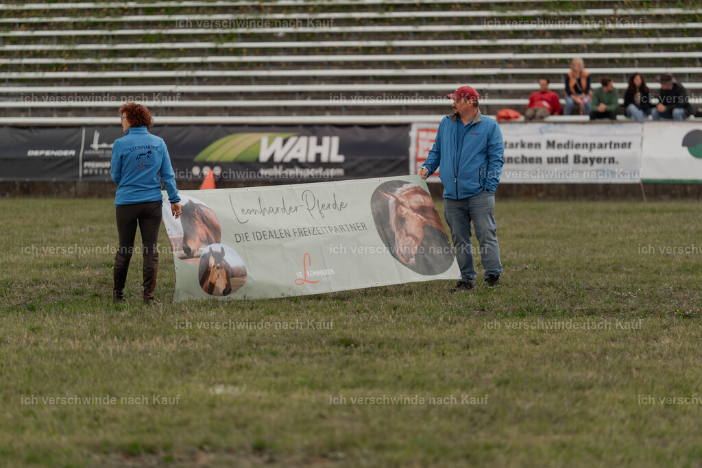 Showprogramm-279 | working equitationturnier fotograf videograf stoibphotography marixx film working equitation deutschland reitsport turnierfotografie eventfotografie equestrian events