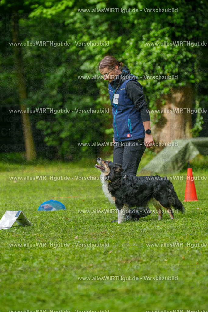 @allesWIRTHgut_Tierfotografie - www.allesWIRTHgut.de - 7R501956 | Professionelle Tierfotografie in Mönchengladbach von Daniel Wirth (allesWIRTHgut). Liebevolle & natürliche Bilder von Hunden & Katzen für unvergessliche Erinnerungen.