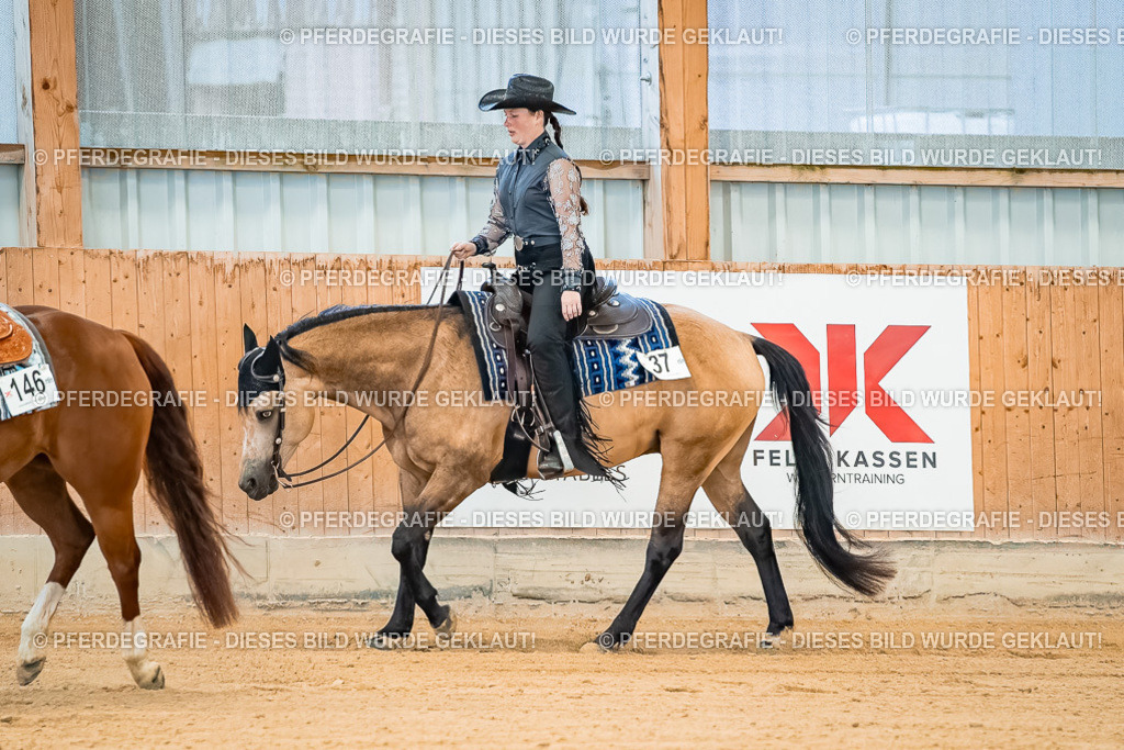 DSC09985 | Pferdegrafie