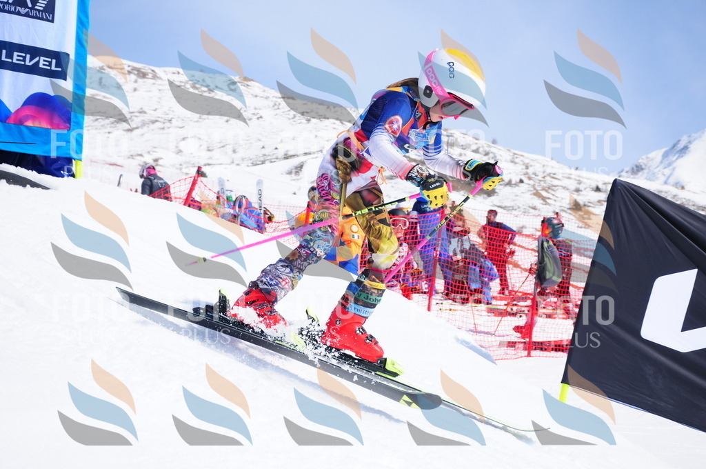 DSC_1197 | holidayphoto