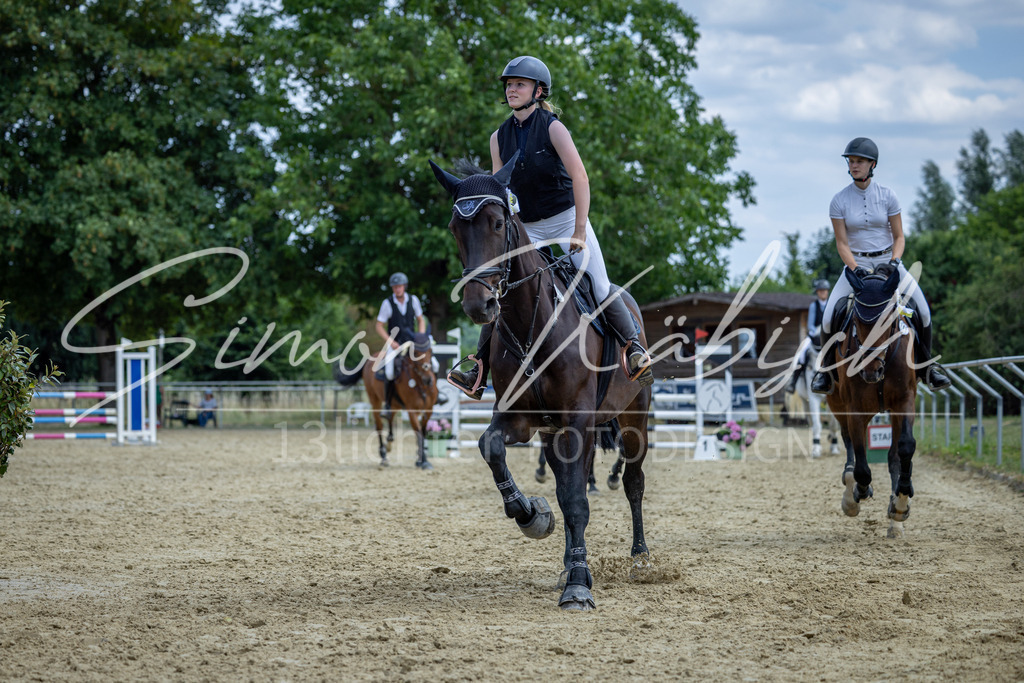 20260704-_3LI1246 | Tierfotografie Pferde, Hunde, Katzen, Haustiere.
Turnierfotografie Reitturniere, Reiten, Springreiten, Dressur in Hanau, dem Main-Kinzig-Kreis und dem Rhein-Main- Gebiet um Frankfurt