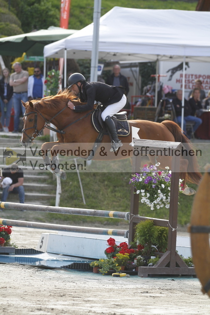 _MG_1033 | equestrian-live-com