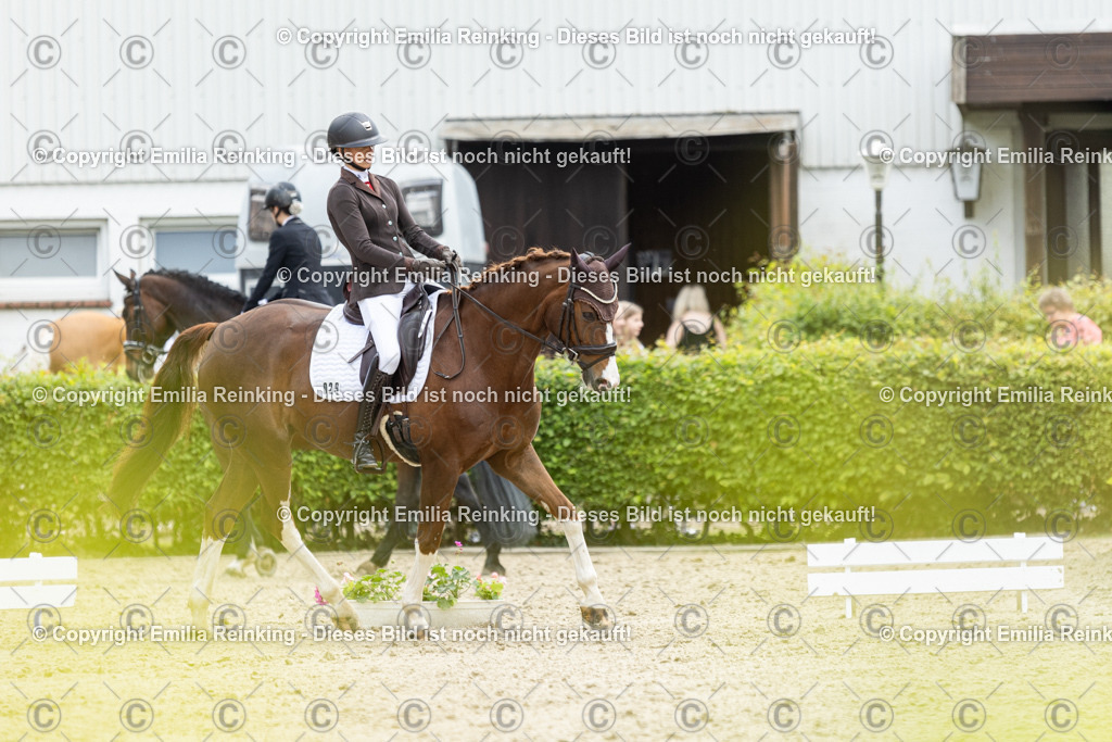 CL5A0625 | Emilia Reinking Fotografie - Realisiert mit Pictrs.com