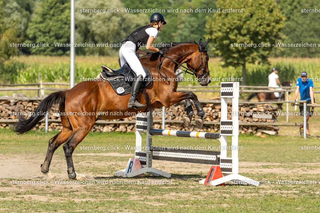 2026-08-09_14-21-31_WBO_Pulsnitz | sternberg.click - Realisiert mit Pictrs.com