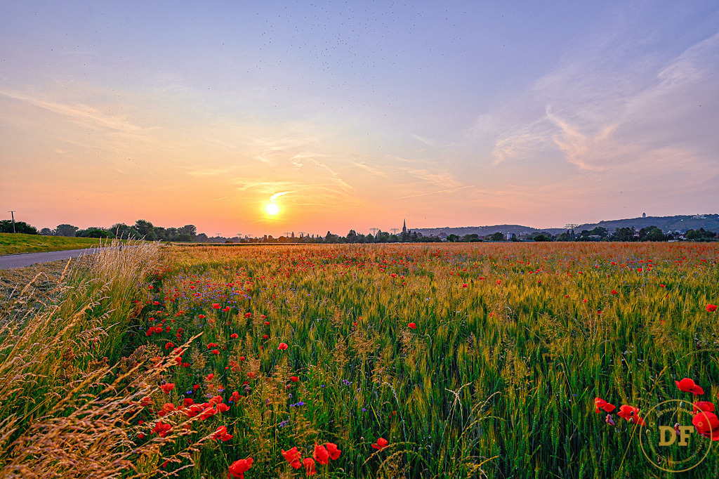 2.20230620-DF_1DS8718_IP | Geschenke, Wandbilder und Accessoires mit Motiven aus Dresden und anderen schönen Orten zur Verschönerung Deines zu Hauses und zum verschenken gewünscht? Wähle Deine Lieblingsbild auf dem Produkt Deiner Wahl. 