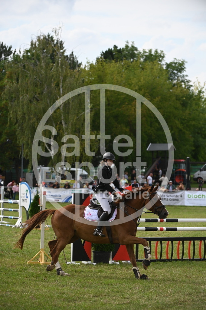 DSC_3174 | sattelsport - Realisiert mit Pictrs.com