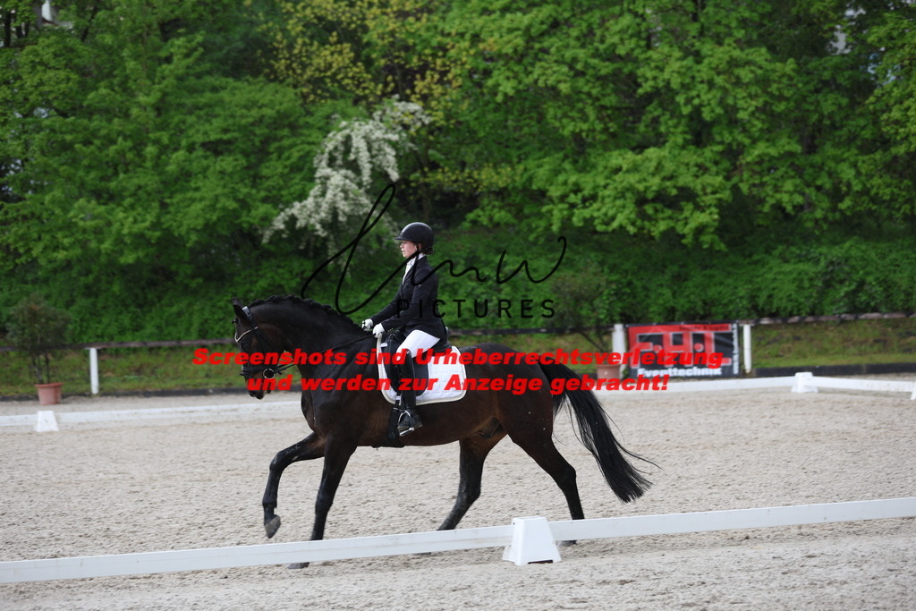 A40A9826 | lmwpictures - Realisiert mit Pictrs.com