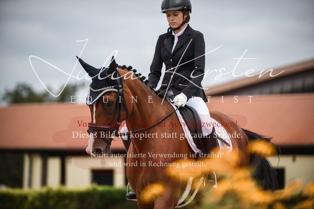 DSC_8394 | Pferde- und Turnierfotografie in Westsachsen. Pferdeportraits, Auftragszeichnungen und intuitive Kunst.