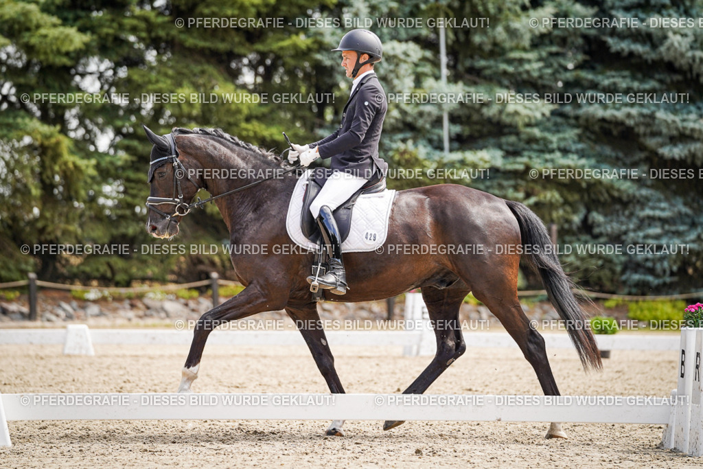 DSC00110 | Pferdegrafie