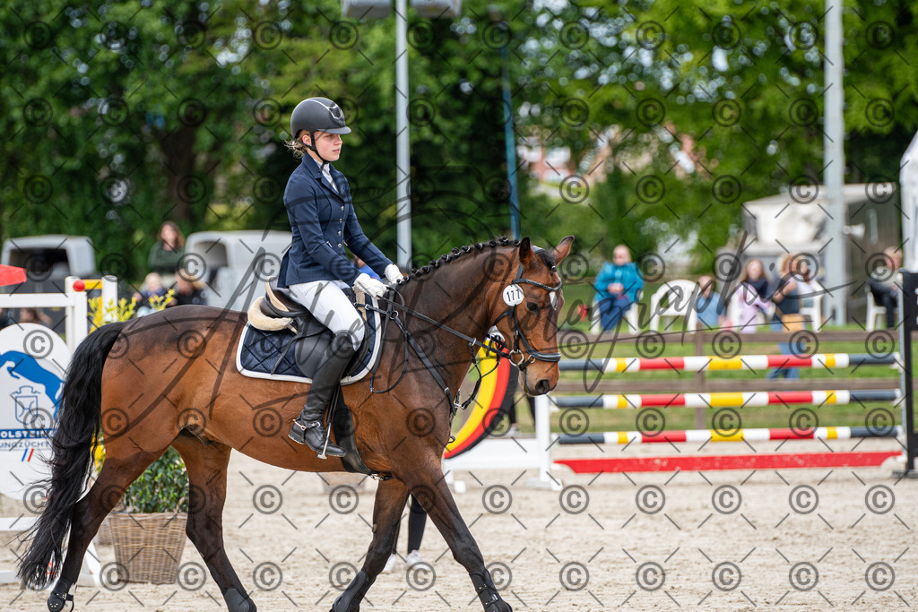 KPT_5848 | andre_photographic