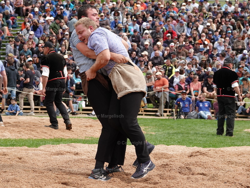 DSC07248 | Schwingen - Realisiert mit Pictrs.com