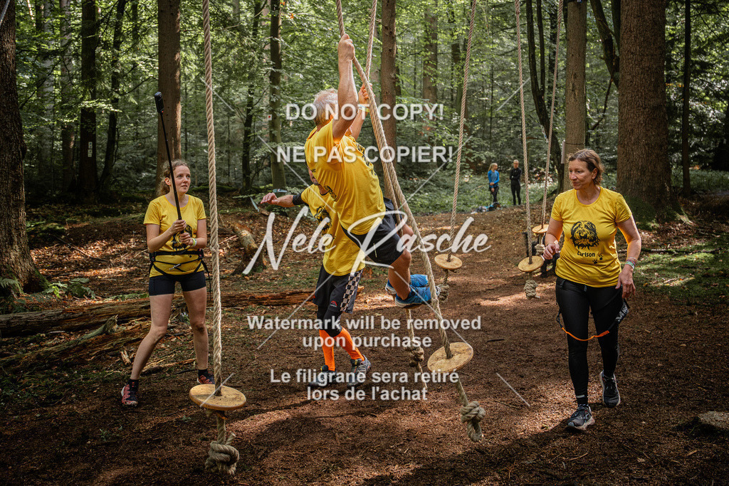nelerasche_SoWingst1130-1230_143 | nelerasche