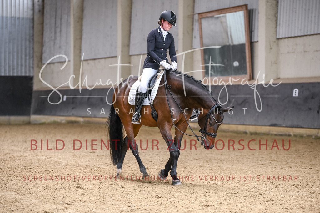 Schugtsche-Aluta25-57.Dressurprf.M1Kand-115 | Schugtsche Fotografie - Realisiert mit Pictrs.com