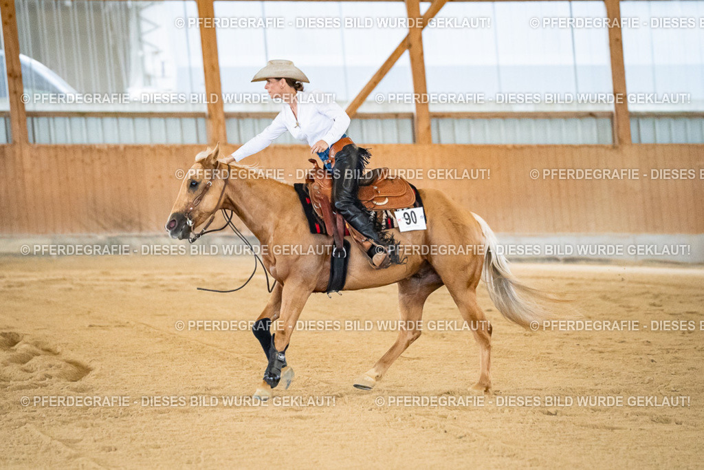 DSC08771 | Pferdegrafie