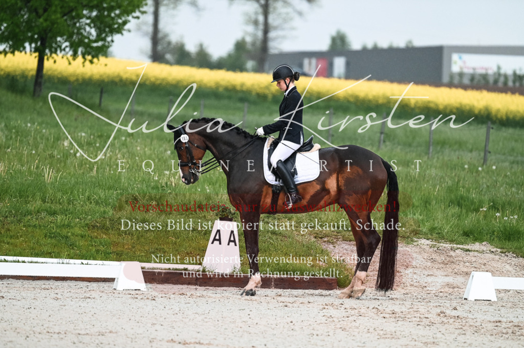 DSC_4165 | Pferde- und Turnierfotografie in Westsachsen. Pferdeportraits, Auftragszeichnungen und intuitive Kunst.