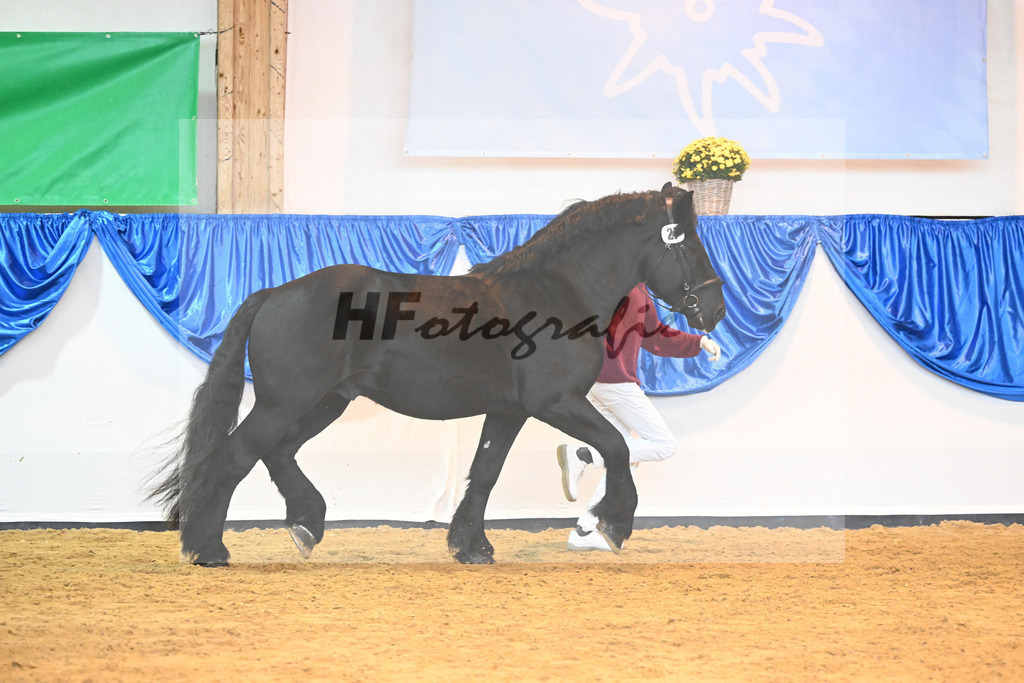 Kat-Nr. 27 Arturo_Holzrueckebetrieb Kaufmann UG_53221128 | hf-fotografie - Realizzato con Pictrs.com