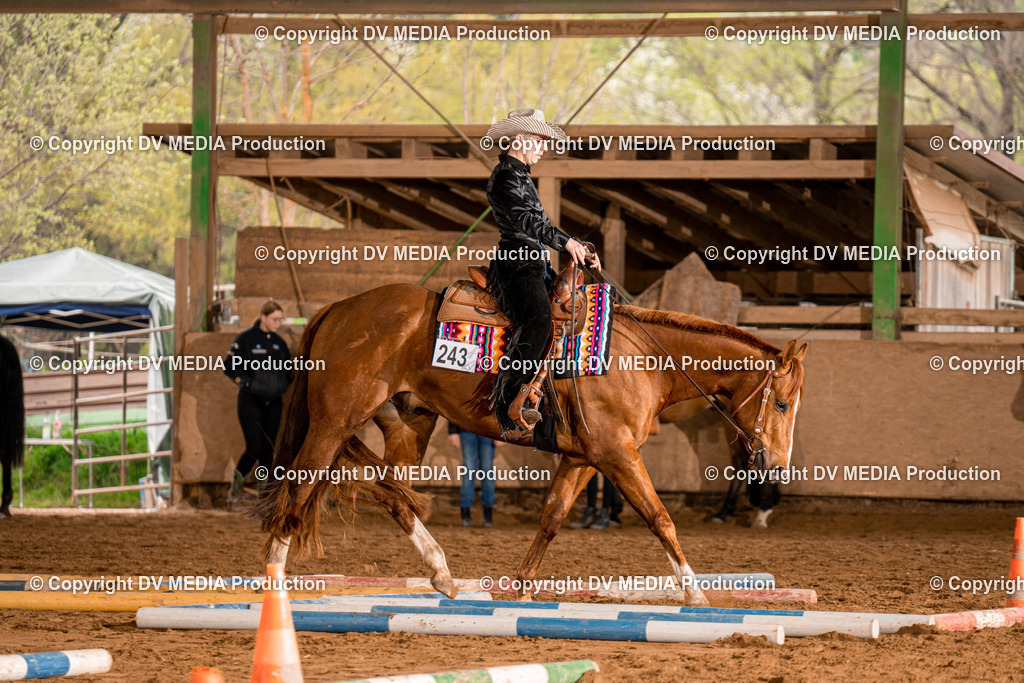 BA300303 | dv-media-shop - Realisiert mit Pictrs.com