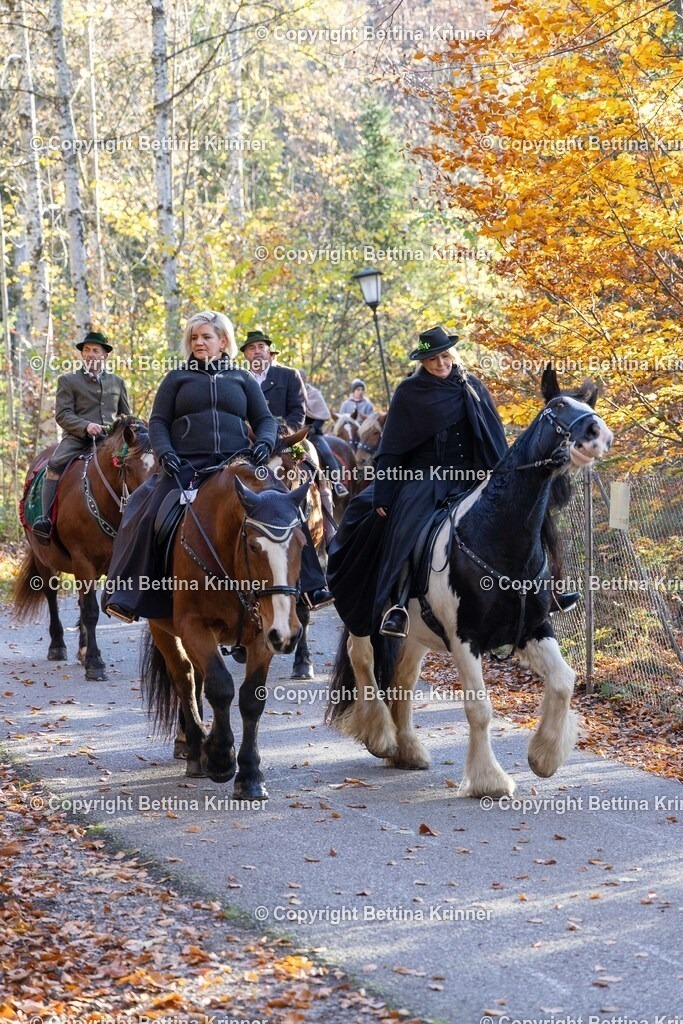 LL24-294 | foto-bettina-krinner - Realisiert mit Pictrs.com
