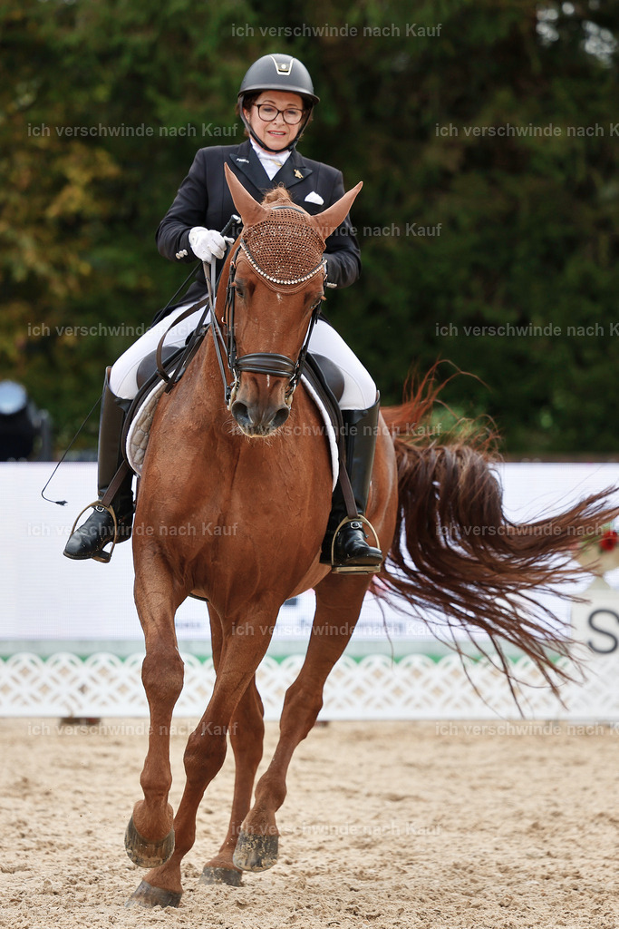 07-023-DRESSUR  S___  -StoibPH-5044 | working equitationturnier fotograf videograf stoibphotography marixx film working equitation deutschland reitsport turnierfotografie eventfotografie equestrian events