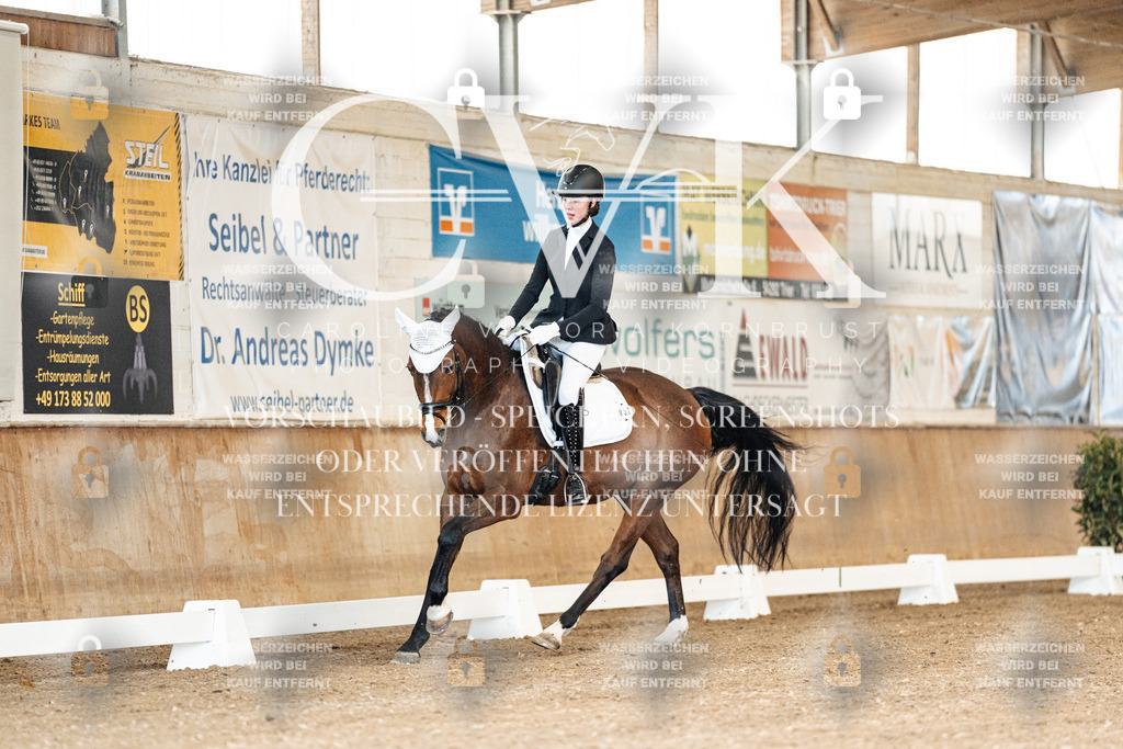 CK900694 | Turnierfotografie Pferdefotografie Trier Rheinland-Pfalz Pferdesport Reitsport Tierfotografie Sportfotografie Pferdevideo Pferdevideografie Equestrianvideography equestrianphotography  - Realisiert mit Pictrs.com