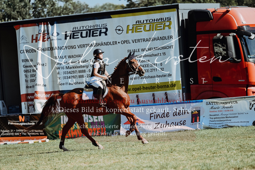 DSC_6702 | Pferde- und Turnierfotografie in Westsachsen. Pferdeportraits, Auftragszeichnungen und intuitive Kunst.