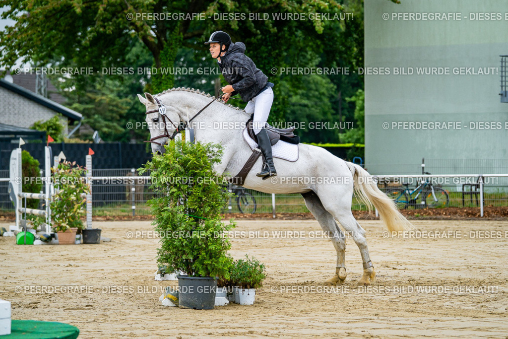 DSC02387 | Pferdegrafie