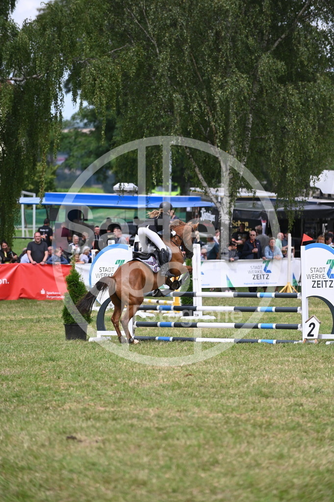 DSC_6370 | sattelsport - Realisiert mit Pictrs.com