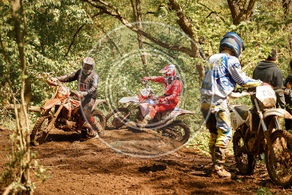 RottlebenIGE25_Lauf2-340 | koppe-media