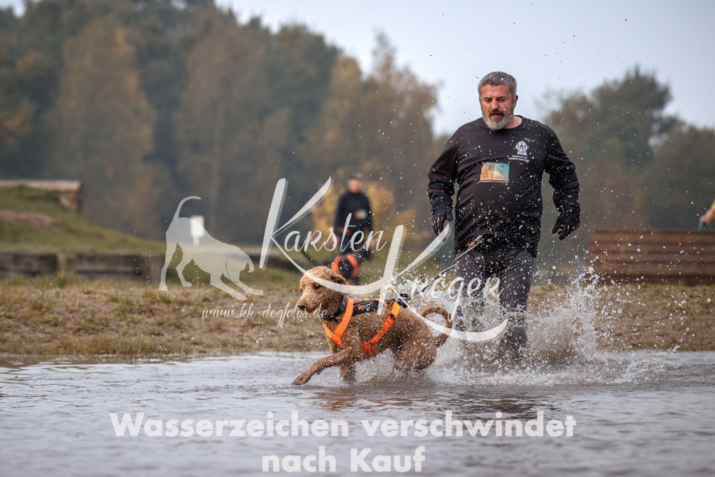 0827_ZZ91626 | kk-dogfotos