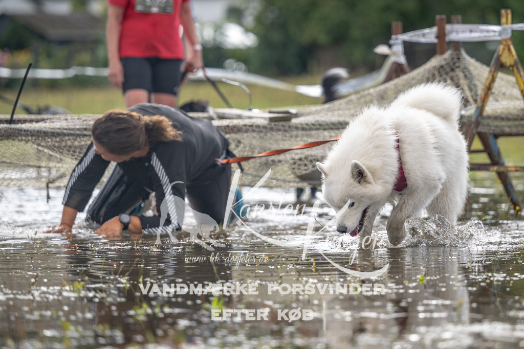 1335_ZZ90237 | kk-dogfotos