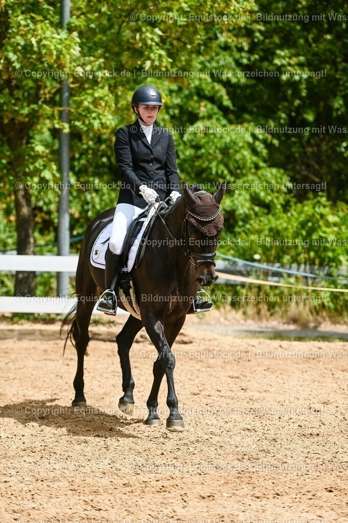 20230715_05_Dressurprüfung Kl.A++_0357 | equistock