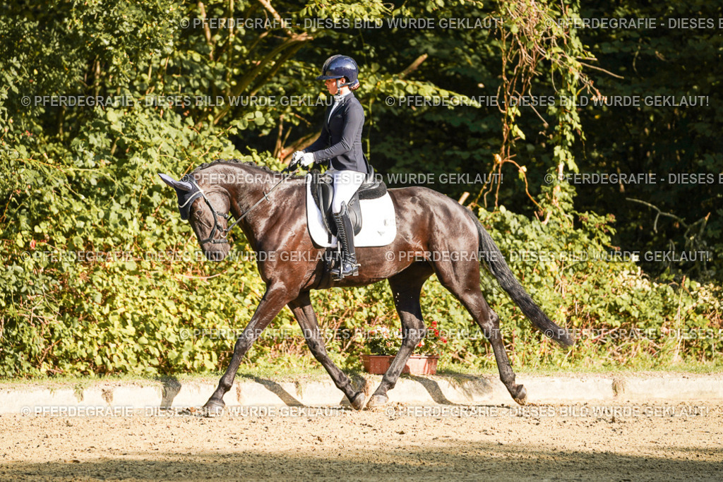 DSC05984 | Pferdegrafie