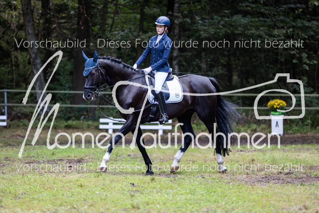 HB-Dressur-WB-085 | MomenTaufnahmen Pferdesportfotos