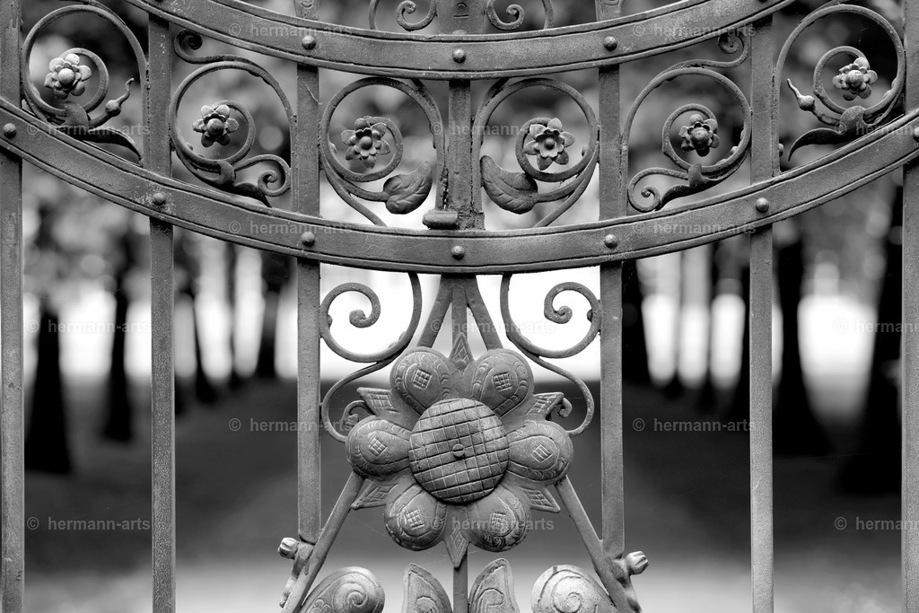 Hermann-Arts_Barockes Tor_025 | Photo Foto Kunst Art schwarzweiss Bilder Rheine Münster Berlin Blumen 
